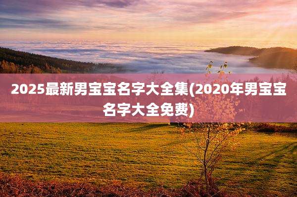 2025最新男宝宝名字大全集(2020年男宝宝名字大全免费)