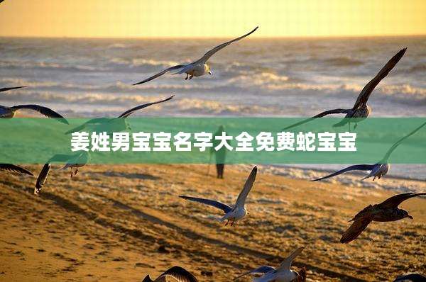 姜姓男宝宝名字大全免费蛇宝宝