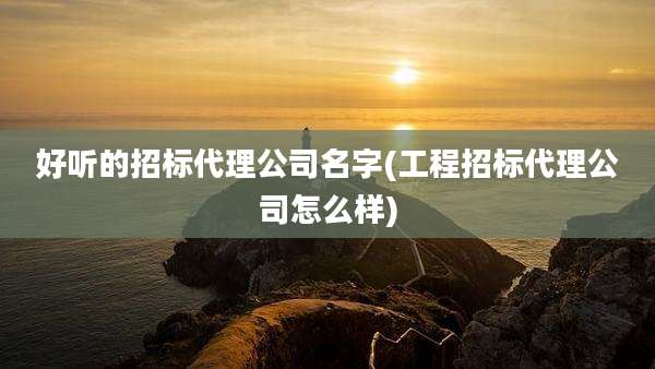 好听的招标代理公司名字(工程招标代理公司怎么样)