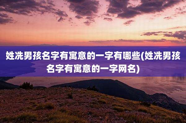 姓冼男孩名字有寓意的一字有哪些(姓冼男孩名字有寓意的一字网名)