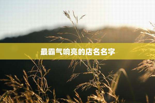 最霸气响亮的店名名字