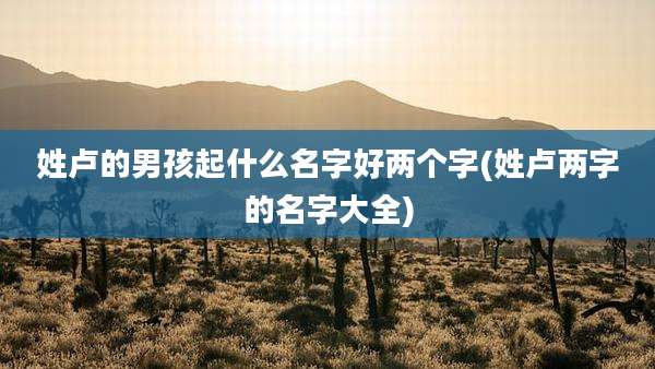 姓卢的男孩起什么名字好两个字(姓卢两字的名字大全)