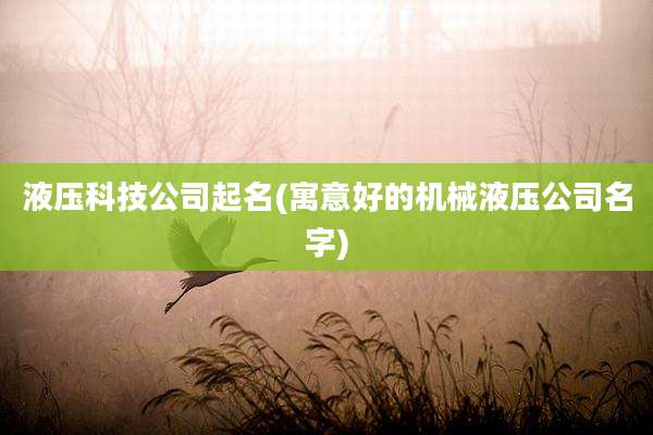 液压科技公司起名(寓意好的机械液压公司名字)