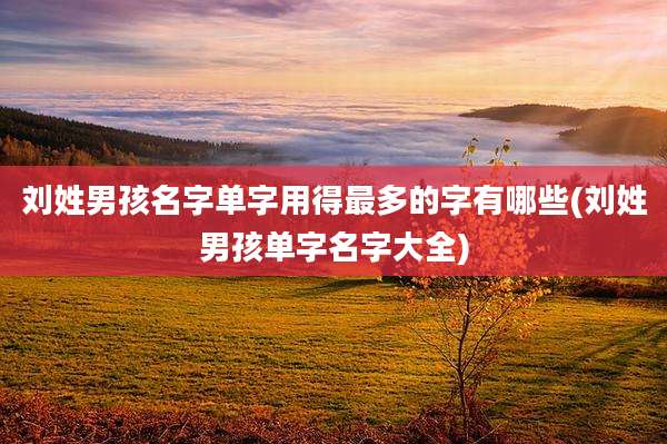 刘姓男孩名字单字用得最多的字有哪些(刘姓男孩单字名字大全)