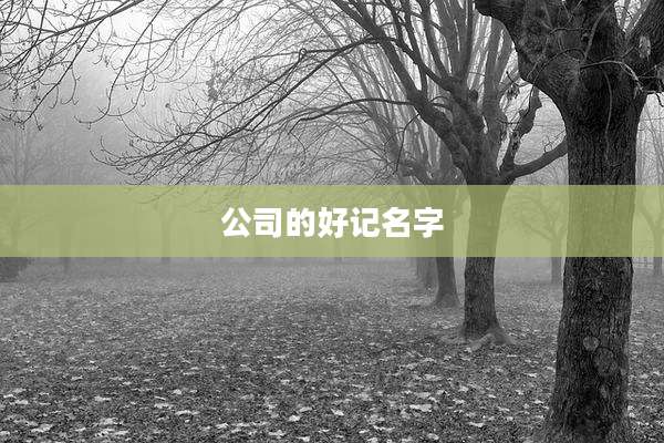 公司的好记名字