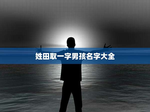 姓田取一字男孩名字大全