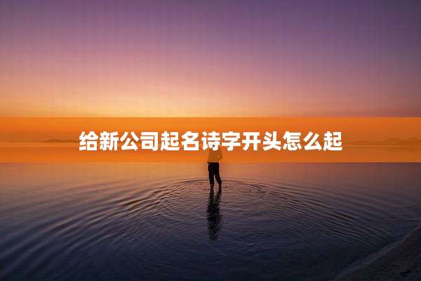 给新公司起名诗字开头怎么起