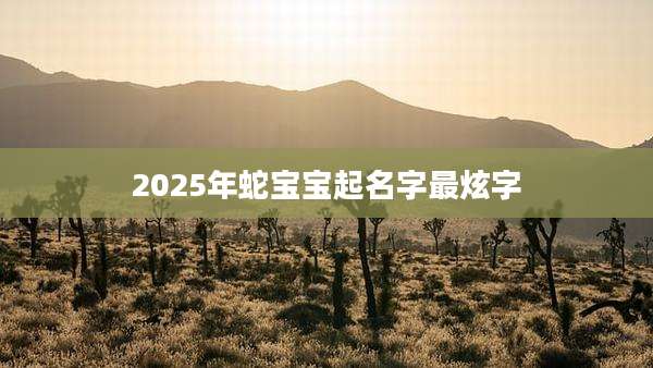 2025年蛇宝宝起名字最炫字
