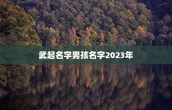 武起名字男孩名字2023年