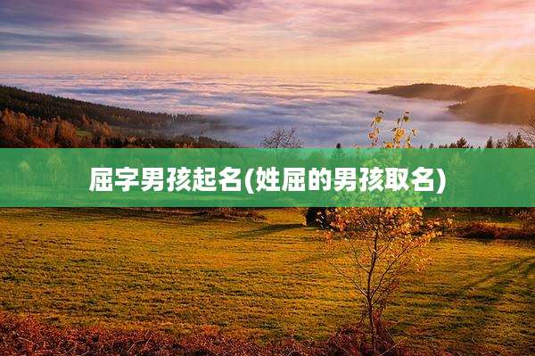 屈字男孩起名(姓屈的男孩取名)