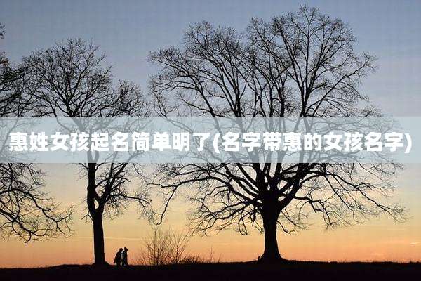 惠姓女孩起名简单明了(名字带惠的女孩名字)