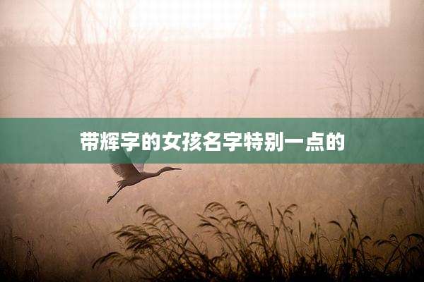 带辉字的女孩名字特别一点的