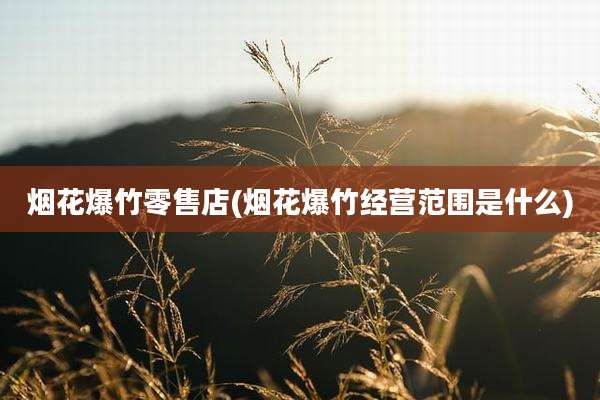 烟花爆竹零售店(烟花爆竹经营范围是什么)