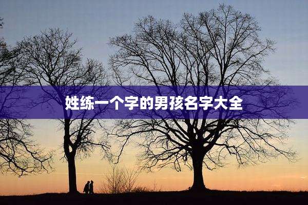 姓练一个字的男孩名字大全