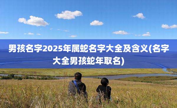 男孩名字2025年属蛇名字大全及含义(名字大全男孩蛇年取名)