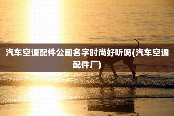 汽车空调配件公司名字时尚好听吗(汽车空调配件厂)