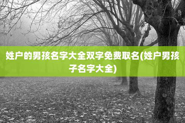 姓户的男孩名字大全双字免费取名(姓户男孩子名字大全)