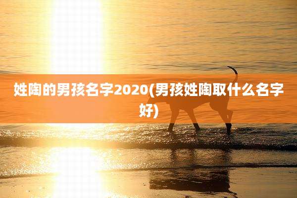 姓陶的男孩名字2020(男孩姓陶取什么名字好)