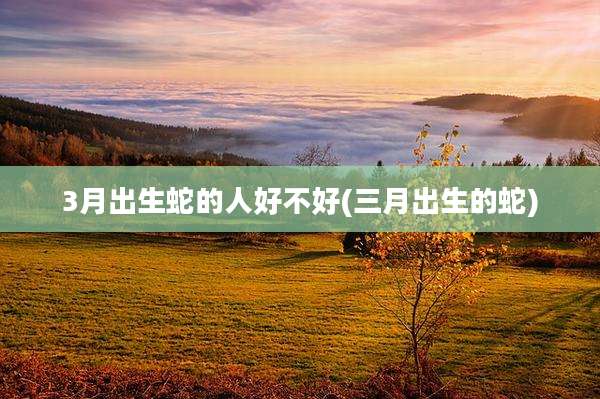 3月出生蛇的人好不好(三月出生的蛇)