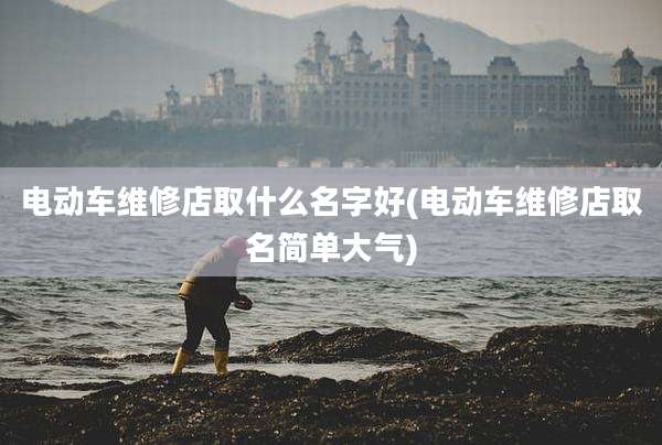 电动车维修店取什么名字好(电动车维修店取名简单大气)