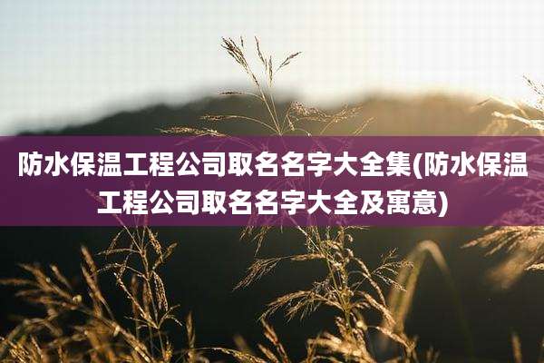 防水保温工程公司取名名字大全集(防水保温工程公司取名名字大全及寓意)