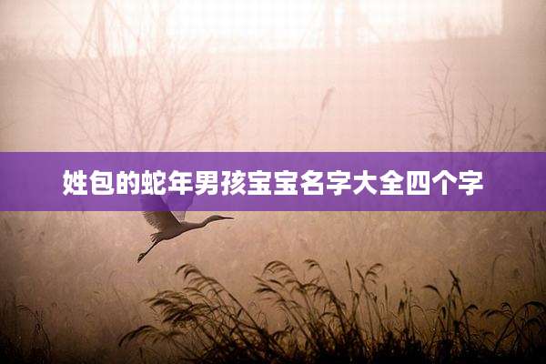 姓包的蛇年男孩宝宝名字大全四个字