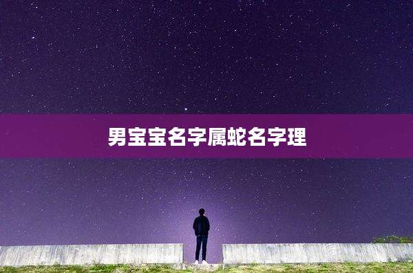 男宝宝名字属蛇名字理