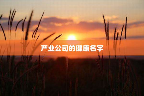 产业公司的健康名字