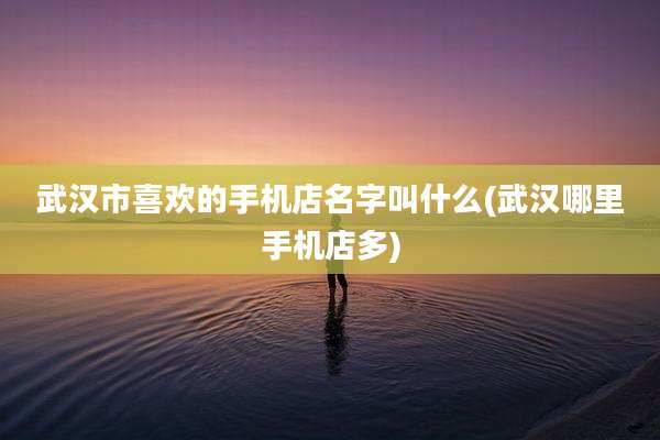 武汉市喜欢的手机店名字叫什么(武汉哪里手机店多)