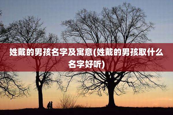 姓戴的男孩名字及寓意(姓戴的男孩取什么名字好听)