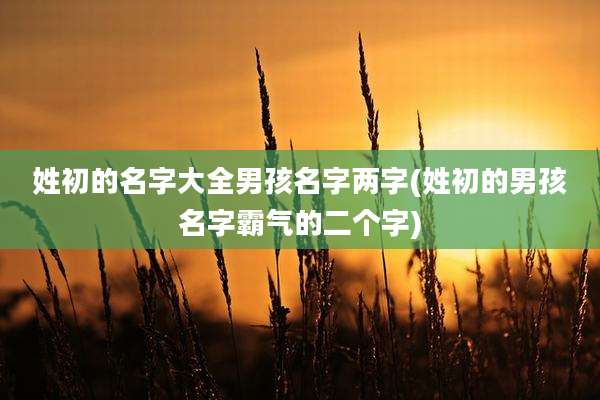 姓初的名字大全男孩名字两字(姓初的男孩名字霸气的二个字)