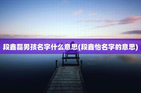 段鑫磊男孩名字什么意思(段鑫怡名字的意思)