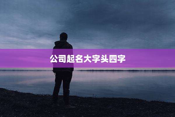 公司起名大字头四字