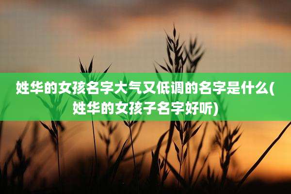 姓华的女孩名字大气又低调的名字是什么(姓华的女孩子名字好听)