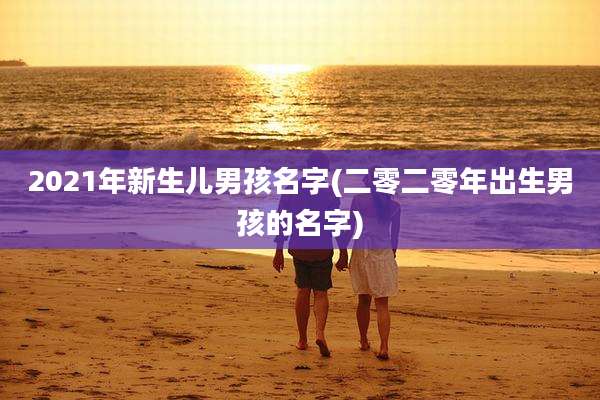 2021年新生儿男孩名字(二零二零年出生男孩的名字)