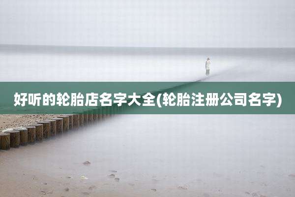 好听的轮胎店名字大全(轮胎注册公司名字)