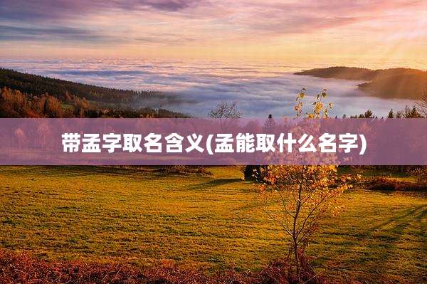 带孟字取名含义(孟能取什么名字)