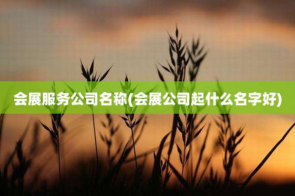 会展服务公司名称(会展公司起什么名字好)