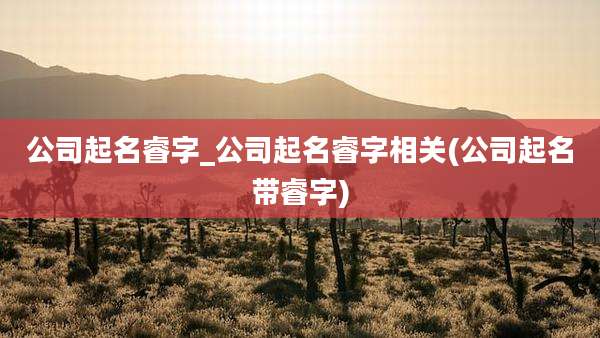公司起名睿字_公司起名睿字相关(公司起名带睿字)