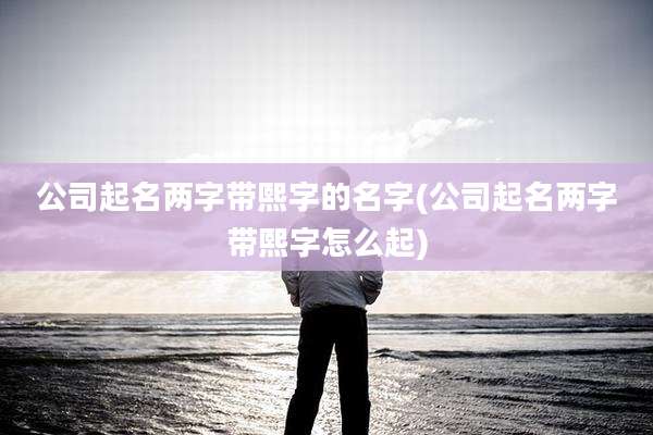公司起名两字带熙字的名字(公司起名两字带熙字怎么起)