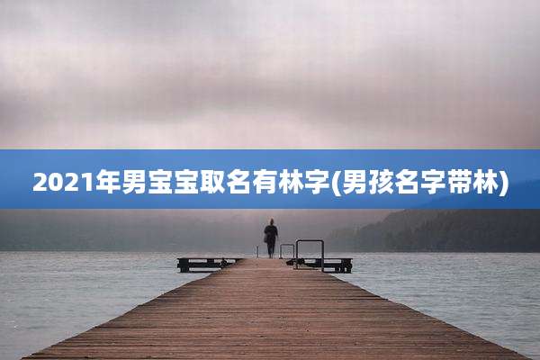 2021年男宝宝取名有林字(男孩名字带林)