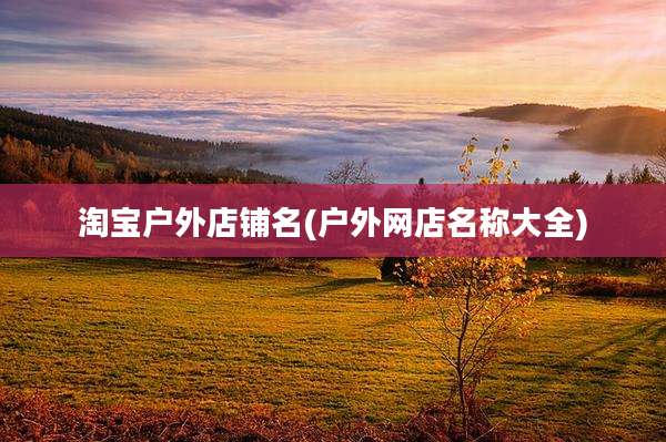 淘宝户外店铺名(户外网店名称大全)