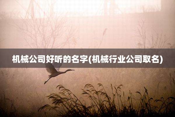 机械公司好听的名字(机械行业公司取名)