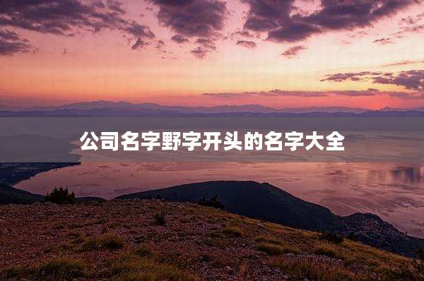 公司名字野字开头的名字大全