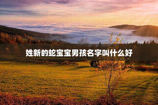姓新的蛇宝宝男孩名字叫什么好