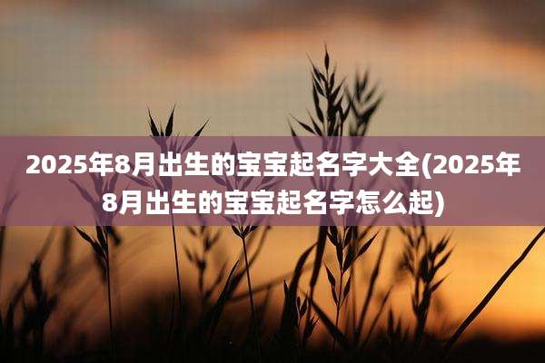 2025年8月出生的宝宝起名字大全(2025年8月出生的宝宝起名字怎么起)