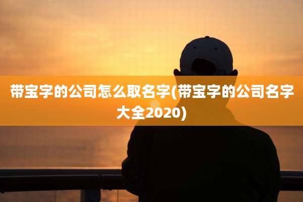 带宝字的公司怎么取名字(带宝字的公司名字大全2020)