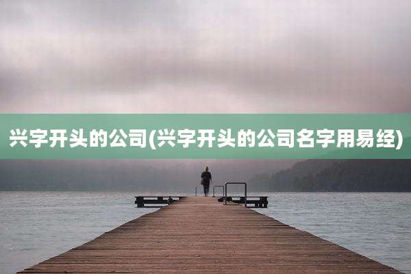 兴字开头的公司(兴字开头的公司名字用易经)