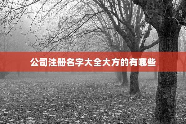 公司注册名字大全大方的有哪些