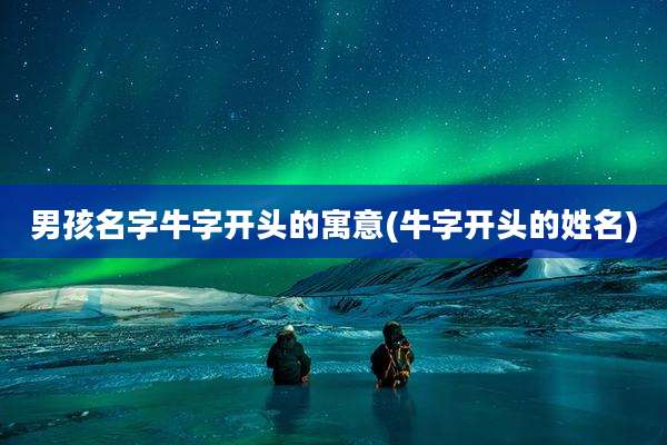 男孩名字牛字开头的寓意(牛字开头的姓名)